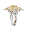 Pasha Ring