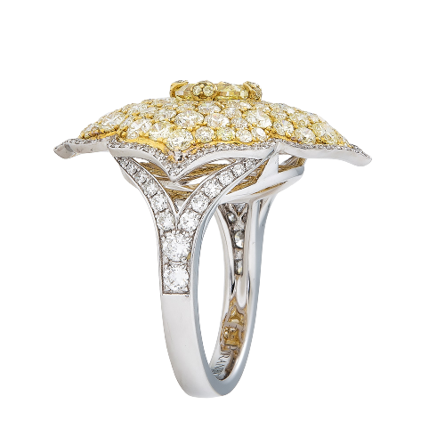 Pasha Ring